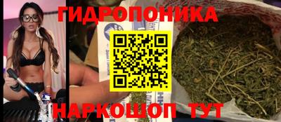прущий лед Кингисепп